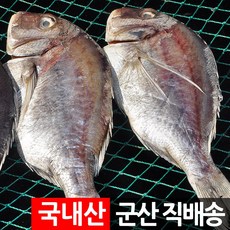 제사 제수용 반건조생선 조기 장대 박대 병어 도미 골라담기, 제수용 도미 1미 500g 내외, 1개