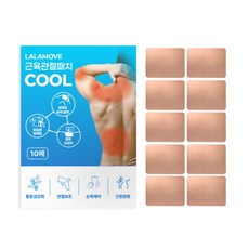 라라무브 쿨링 근육관절 패치 멘톨, 1박스, 10매입