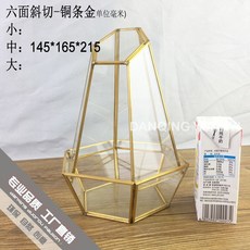 테라리움 기하학적 유리 꽃 용기 커버 장식 사무실 테이블 거실 홈 화분, 잔, 보통, 1개