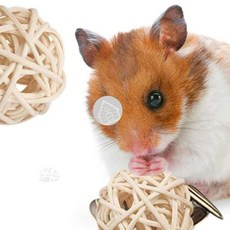 햄스터 앵무새 등나무공장난감 등나무볼 공모양장난감 햄스터이갈이, 1, 2-햄스터공5cm