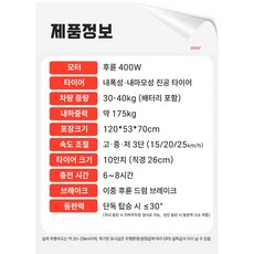 이지라이더 고출력 3인용 세발 전기 자전거 리튬배터리 분리충전 완제품출고 언덕주행가능 힘좋은 접이식 전동 스쿠터, 블랙, 3인승-800W/30A