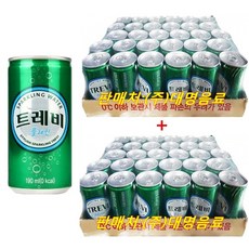 롯데 트레비 플레인 탄산수 190mlx60캔(30캔-2박스) / (사은품증정), 120개, 190ml
