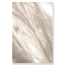 쿠쿠스토어 이슬람 캔버스 포스터 건초 민들레 벽 베이지 꽃 예술 그림 모로코 문짝 인쇄 사진 거실 장식, 06 10X15cm No Frame, 02 949-12, 1개