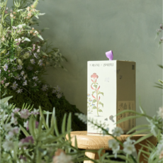 [신사임당 에디션] 프리미엄 드립티 (3종10개입)메리골드 해맞이꽃차 바다꽃차, 600mg, 1개, 10개입