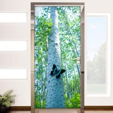 아트박스/꾸밈 cl849-나비와자작나무숲_현관문시트지, 본품
