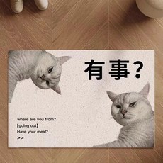廢物專賣店 活著回來就行地墊 你真棒地墊 安全到家地墊 貓咪地墊 搞笑地墊 防滑地墊 腳踏墊 門口地墊, 1個, 有事?