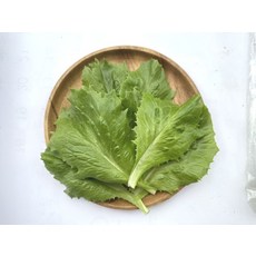 【野菜部屋~】B58 冰后結球萵苣種子 葉邊緣裂葉狀 口感脆甜, 1包