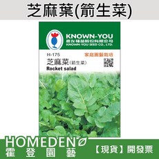 KNOWN-YOU 芝麻菜種子 Rocket salad, 1包