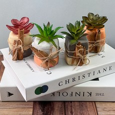 점토 식물 거실 DIY 시나몬스틱 다육이 화분 만들기 플랜테리아 원예, 3. 베이지/검정