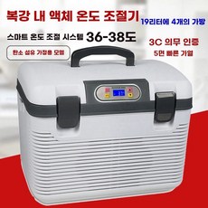 10L 차량용 온냉장고 아이스쿨러 12V/220V 냉장고 자동차 미니 차박 LED 캠핑, 1개