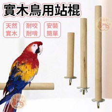 鳥用 鸚鵡磨爪站桿, 1個, 松木站棍_直徑2cm,長度10cm