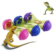 [ 953220 ] 코르도베 파충류 농축 수유 장난감 3개 - 수염 난 드래곤 & 도마뱀 도마뱀붙이 작은 동물 탱크 액세서리 장식