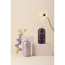 더마케어 퍼퓸샴푸 워터트리트먼트 8종, 03 퍼플 베리 SET, 1개, 300ml