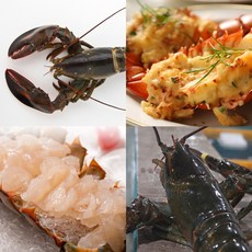 활랍스터 랍스타 바닷가재 캐나다랍스터, 1개, 500g내외