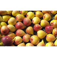 오촌언니 말린 무화과말랭이 다이어트 식이섬유 변비 피부미용 100g1+1, 2개, 100g