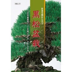 小樹安每 日本近代出版社 黑松盆栽，展現日式盆景藝術風格，居家辦公室擺設