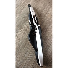 ROLAND AE-20 數位吹管 電子SAX，多種樂器音色，輕巧便攜，藍牙連接，輕鬆上手，享受演奏樂趣, 1個