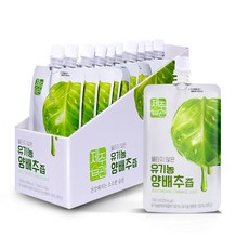 제주습관 유기농양배추즙 제주산 NFC저온착즙 100ml, 10개
