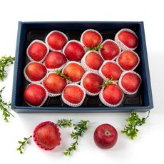 사과 선물세트 5kg 17-19과, 1