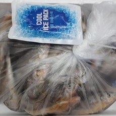 목포 작은 참조기 생물조기 4kg 국산 1박스 100마리 내외, 1개