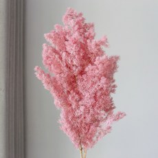 無框花 蓬萊松乾燥花 壽松 永生花材 浮游花 花束 花圈裝飾 大把粉紅色, 大把/粉紅色