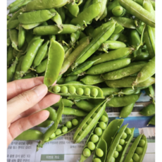 국내산 제철 햇 완두콩 이유식용 찜용 스프용 요리용 깐 완두콩 급냉완두콩, 500g, 1개