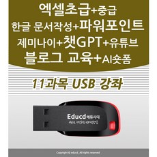 11종 컴퓨터 기초 배우기 교육 + 엑셀 활용 강좌+ 파워포인트+ 한글 문서작성+챗gpt+제미나이+유튜브 유튜버+AI 숏폼 동영상 +네이버 블로그 책 교재 서적 좋은 usb