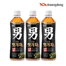 맛인가봐 진한 헛개차 1bo, 20개, 500ml