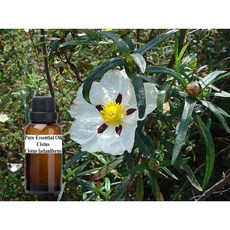 岩玫瑰 純精油 Cistus pure essential oil, 1個, 30ml