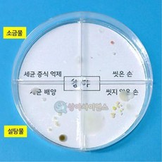 손세균 간이검사 증식 억제 과학실험재료 4인용 과학상자 관찰 사이언스 과학실험키트, 1개