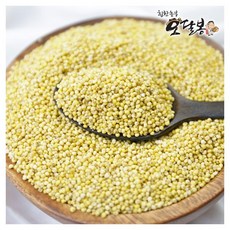 힘찬농부오달봉 수입 찰기장 2025년산, 1개, 1kg