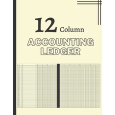 12 열 회계 장부: 대차 대조표