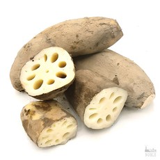 국내산 연근 생연근 흙연근 정품 특품 1kg 3kg 5kg 10kg [노블프레쉬], 1박스, 1kg(흙연근)