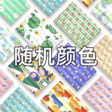 강아지 고양이 여름 쿨매트 반려동물 냉감 방석 애견 쿨패드, 1개, 랜덤