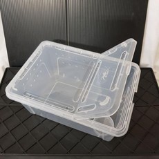 P老闆水族爬蟲飼養盒：小/中/大尺寸，適用於樹棲、蜘蛛、守宮、烏龜等，兩棲爬蟲飼養箱，含爬台, 中, 1個