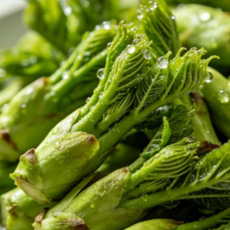 [딱15일간] 향이 남다른 첫수확 참두릅, 1개, 150g