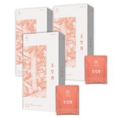 오색다원 우엉차, 3개, 100개입, 1g