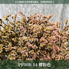 CANLONGER FLOWER 水晶花 乾燥花束, 14櫻粉,原裝(超取會修剪適合裝箱尺寸), 1個