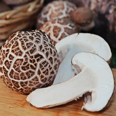 [산지직송 천고송] 당일수확 고송버섯 송화 가정용 무농약 친환경 실속 고급선물용 1kg(프리미엄 선물용 : 특~명품), 1박스, 고송버섯 가정용 실속형 850g