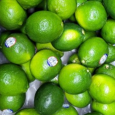 새콤 과즙 상큼한 시트러스 과일 프리미엄 생 라임 중사이즈, 1개, 중과 10개