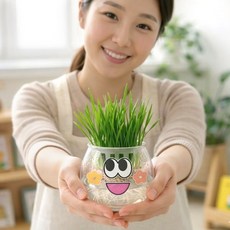 더조은키즈 보리새싹 키우기 체험 키트 - 관찰일지 포함 어린이 식물 재배 과학 학습, 1개