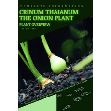 (영문도서) Crinum Thaianum The Onion Plant: From Novice to Expert. Comprehensive Aquarium Plants Guide Paperback, Independently Published, English, 9798854641937