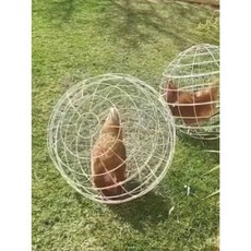 닭 케이지 1마리 보호 도망 방지 방목 원형 야외 닭장 짐승 울타리 20cm-1개 배송메모에 남겨주세요(미기재시 흰색) 1개, 20cm 1개/보라색 × 1개