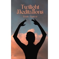 (영문도서) Twilight Meditations Paperback, Book Fairy Publishing, English, 9789916394366