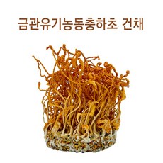 유기농산물 경북우수농산물 금관동충하초 건채, 1개