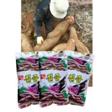 자연산 야생칡즙, 50개, 100ml