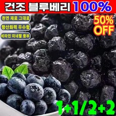 1+1무설탕 건조 블루베리, 6개, 100g
