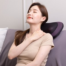 제스파 해피 메이트 쿠션 마사지기, ZP954, 딥퍼플