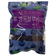 블루베리 농산물 식자재 냉동 1KG 과일, 1개