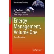 (外文書)Energy Management Volume One: Green Transition Hardcover, Springer, English